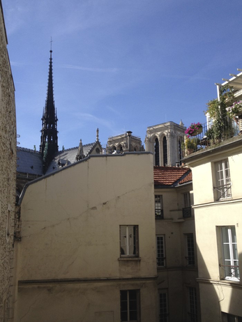 Paris apartment - "Le Quai aux Fleurs" - Long-Term Rental on Ile de la Cité
