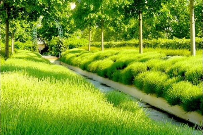 8 Paris apartment - La Coulée Verte, family apartment on the green way