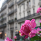 8 Paris apartment - Vast Haussmann-style home - Bon Marché