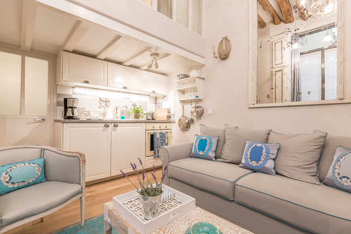 Paris apartment - Le Petit Loft de Paris