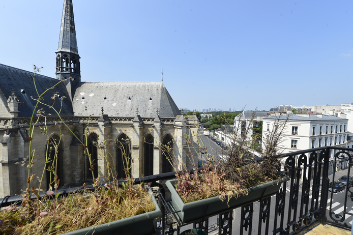 Paris apartment - Haussmann-style grand apartment with great views