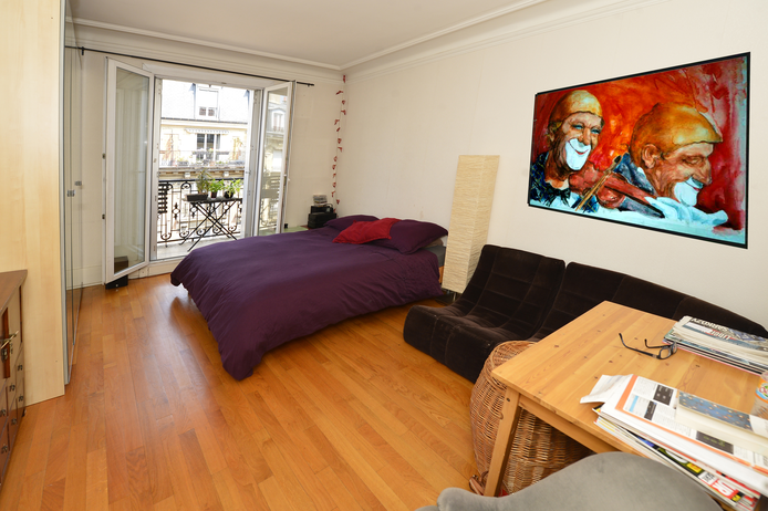 Paris apartment - Haussmann-style grand apartment with great views