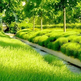8 Paris apartment - La Coulée Verte, family apartment on the green way