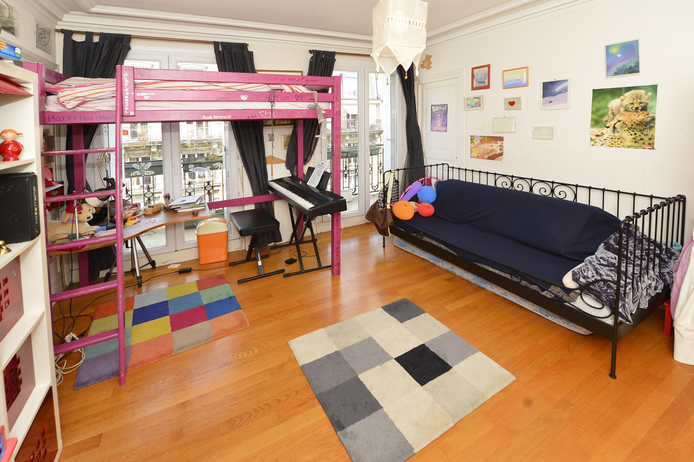 Paris apartment - Haussmann-style grand apartment with great views