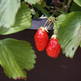 6 Paris apartment - "Le Breteuil" - A loft come true with a rooftop garden
