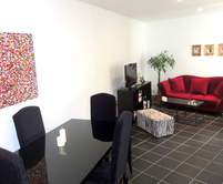 Paris apartment - Eiffel Tower apartment - Rue Lauriston