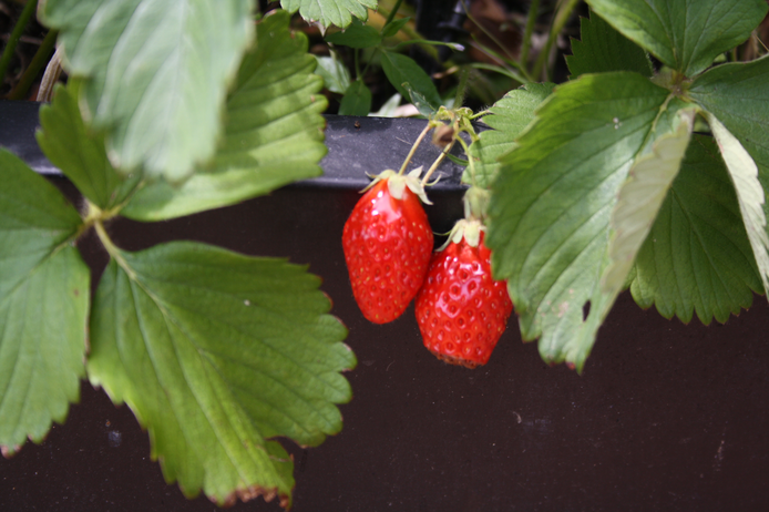 6 Paris apartment - "Le Breteuil" - A loft come true with a rooftop garden