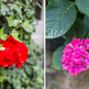 Paris apartment - "Le Petit Saint-Germain"- Long-Term Rental, One Month or More