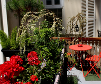 Paris apartment - Chez Jean-Luc, a courtyard terrace near the Seine - PASSAGE LANDRIEU
