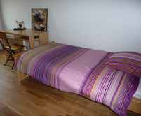 Paris apartment - Chez Catherine - Room near the Bastille - 146 avenue ledru rollin