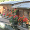 The Powell Houseboat