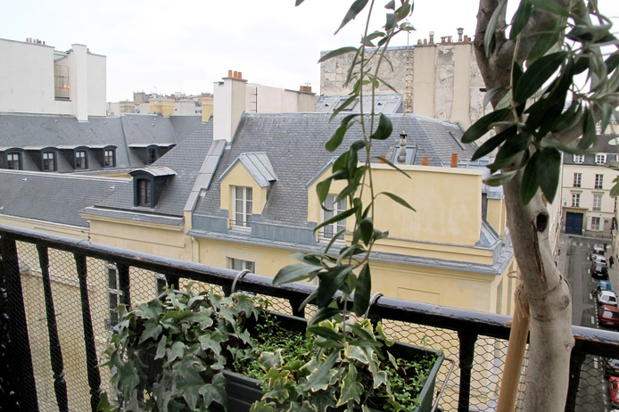 Paris apartment - The Royal Turenne in the heart of the Marais