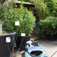 6 Paris apartment - "Le Breteuil" - A loft come true with a rooftop garden
