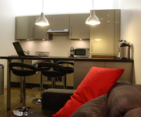 Paris apartment - "Le Saint Senoch" near the Arc de Triomphe - rue Saint Senoch