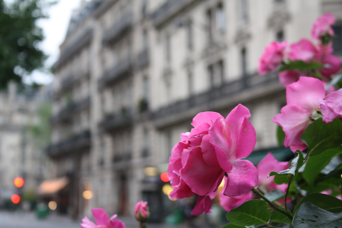 8 Paris apartment - Vast Haussmann-style home - Bon Marché
