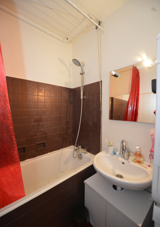 Paris apartment - Haussmann-style grand apartment with great views